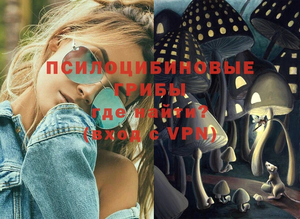 эйфоретик Алзамай