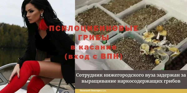 спиды Алексин