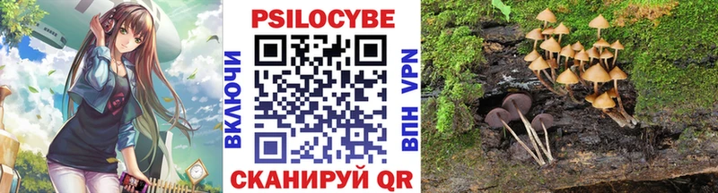 Купить закладки Володарск Галлюциногенные грибы Psilocybe