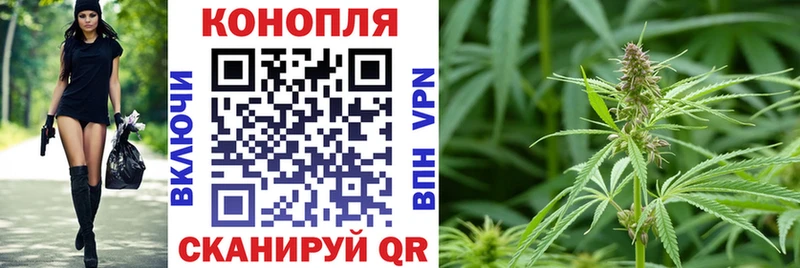 Купить закладки  Володарск  Шишки марихуана семена 